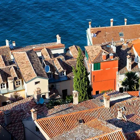 Apartment In 3652-3 Rovinj
